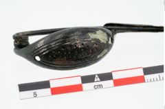 Foto von Bronzekahnfibel (NHMW-PRAE-025534)